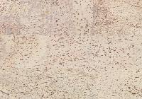 Пробковый пол Corkstyle Natural Cork Glue Fantasie Creme